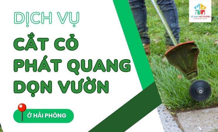 Dich-vu-cat-co-phat-quang-don-vuon-o-Hai-Phong