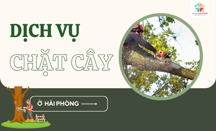Dich-vu-chat-cay-o-Hai-Phong
